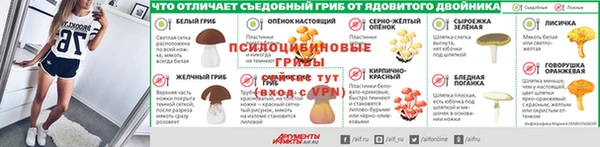 соль ск Абаза