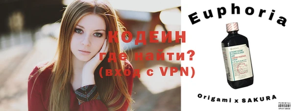 соль ск Абаза