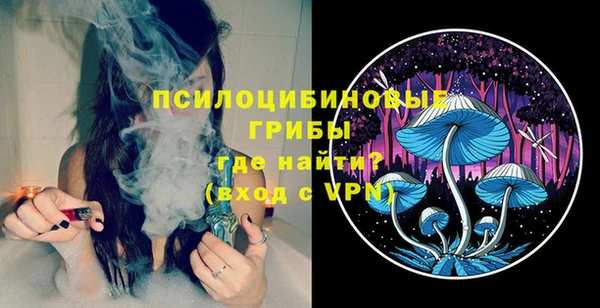 соль ск Абаза