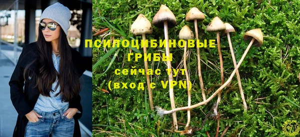 соль ск Абаза